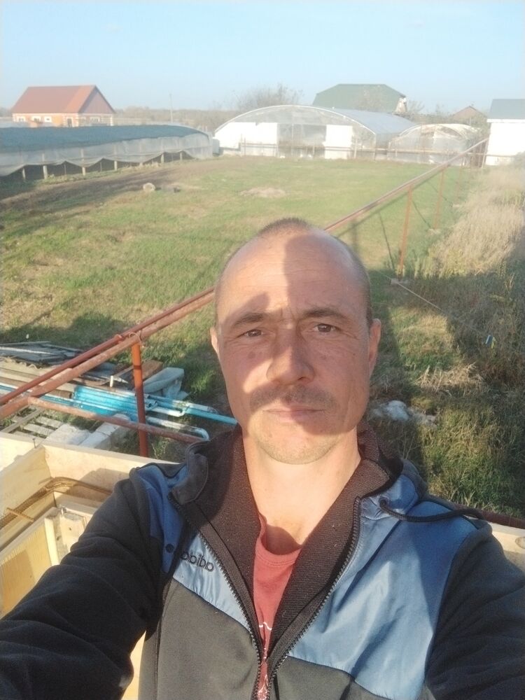  38874565  , 39 ,    