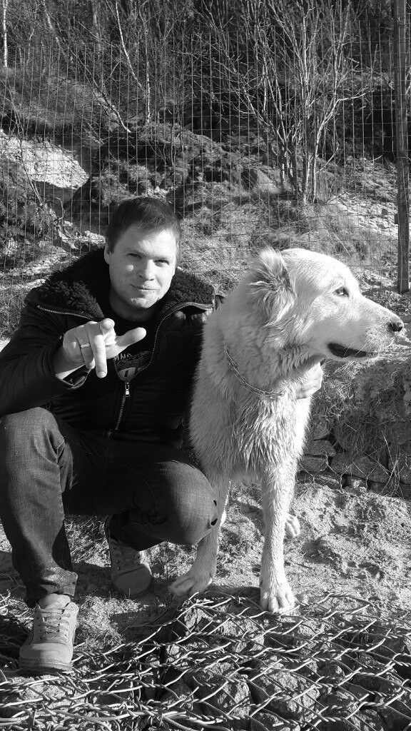 ���� 8088115 ������� �������, 36 ���, ���� ���������� � ������������