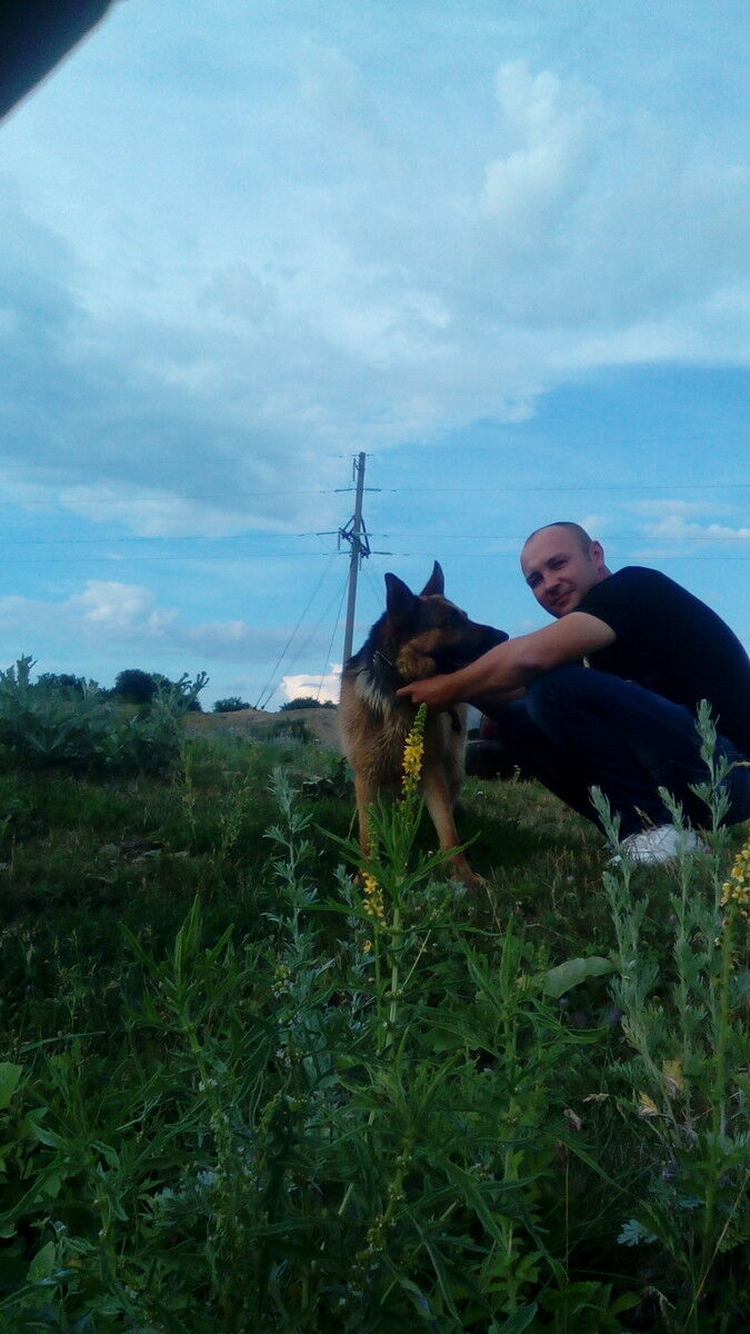  9859605  , 38 ,    -