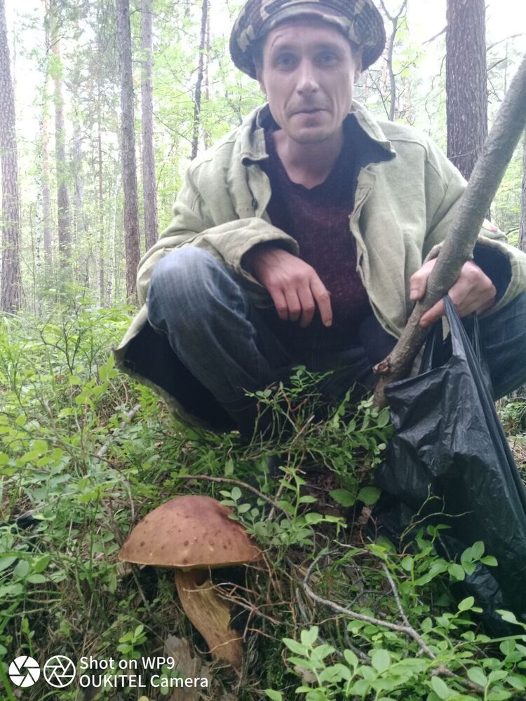 ���������� ������������, ���� ������� �������, 44 ����, ������������ ��� ����� � ���������, c�������� ���������