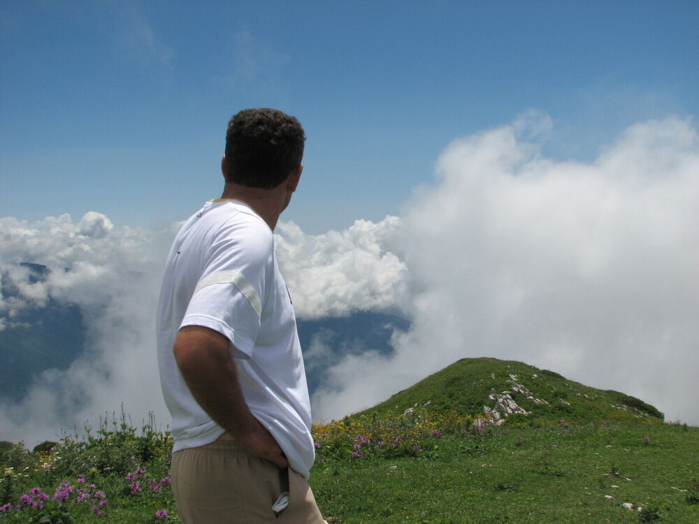 ���� 31431025 ������� �����, 48 ���, ���� ���������� � �����