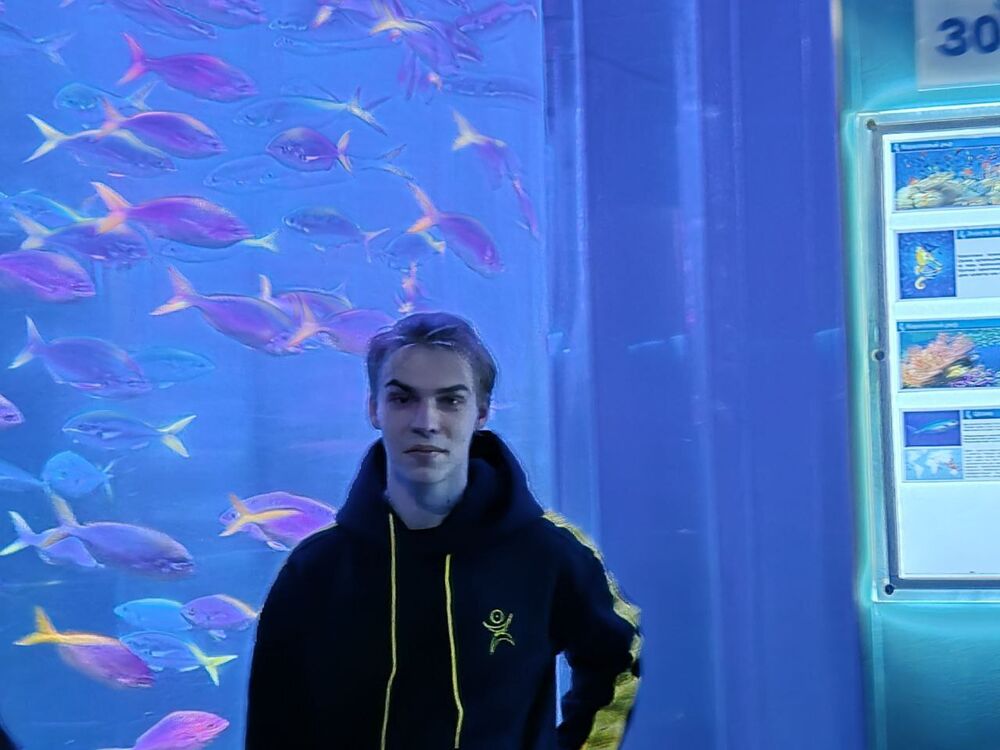 ���������� �����-���������, ���� ����� �����, 20 ���, ������������ ��� ������, ����� � ���������