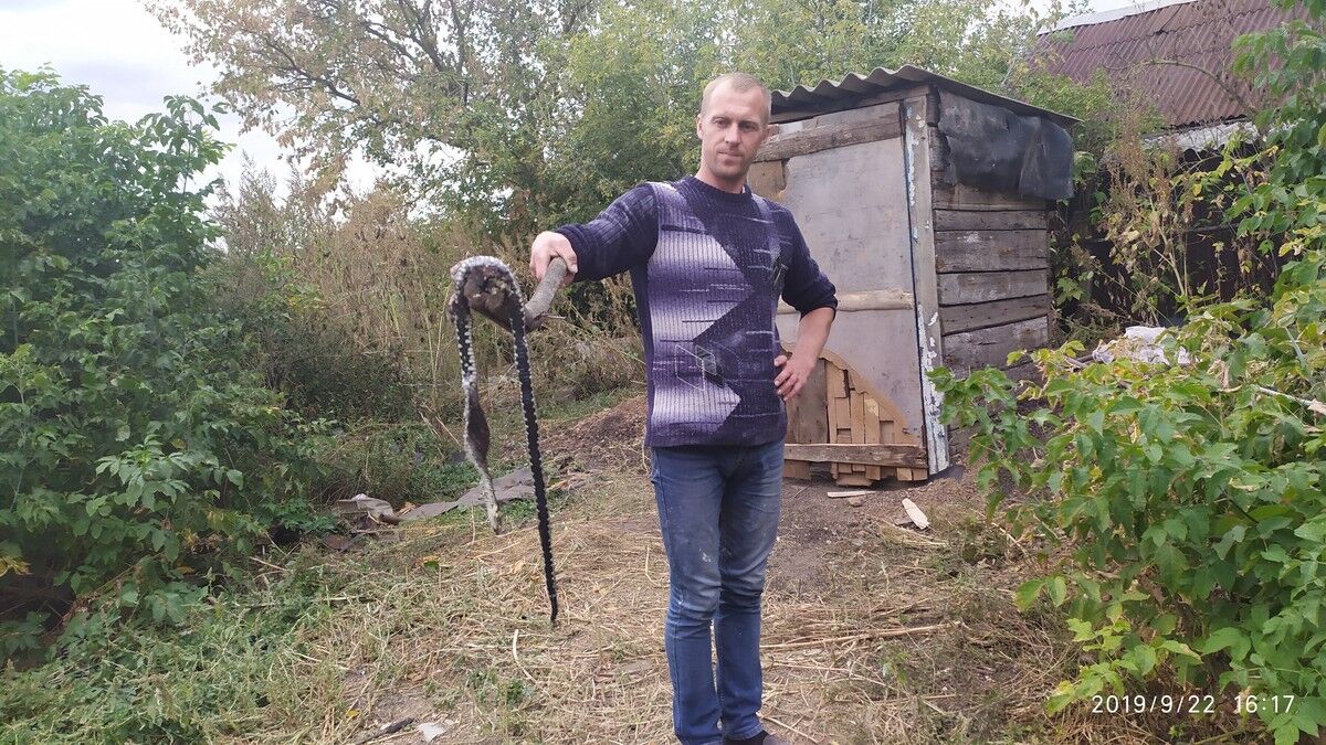 ���������� ��������������, ���� ������� �������, 36 ���, ������������ ��� ������, ����� � ���������, c�������� ���������