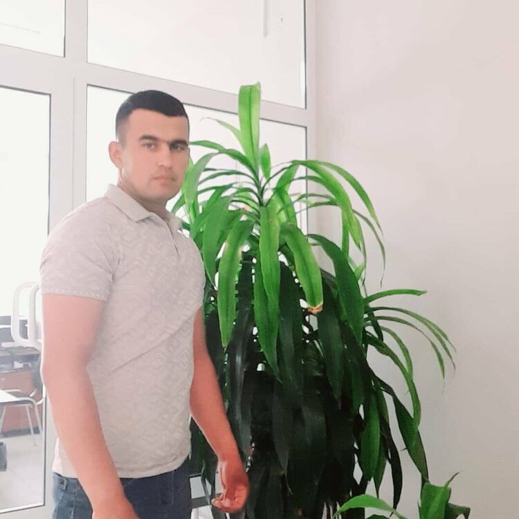 ���� 26631775 ������� ������, 31 ���, ���� ���������� � ������������