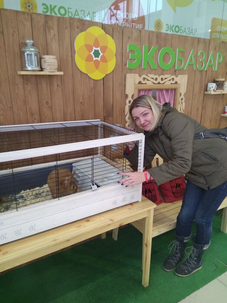 ���������� ������, ���� ������� �������, 44 ����, ������������ ��� ����� � ���������, c�������� ���������