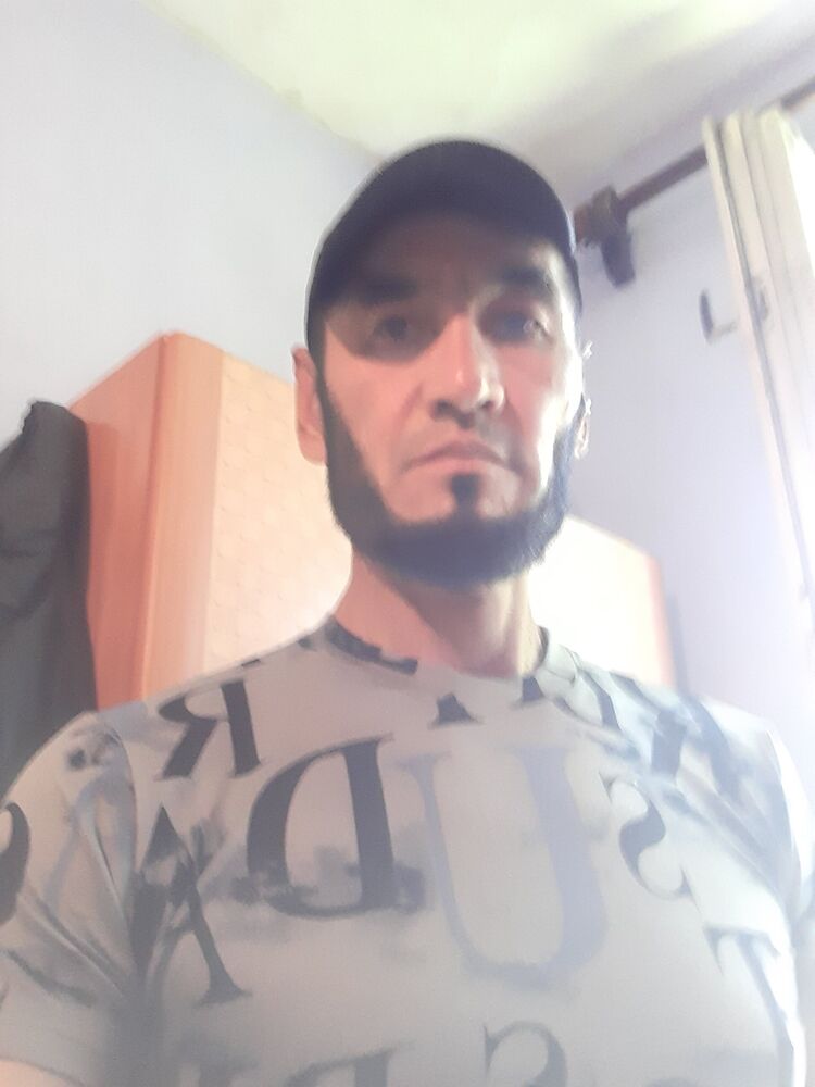  31329005  , 53 ,    