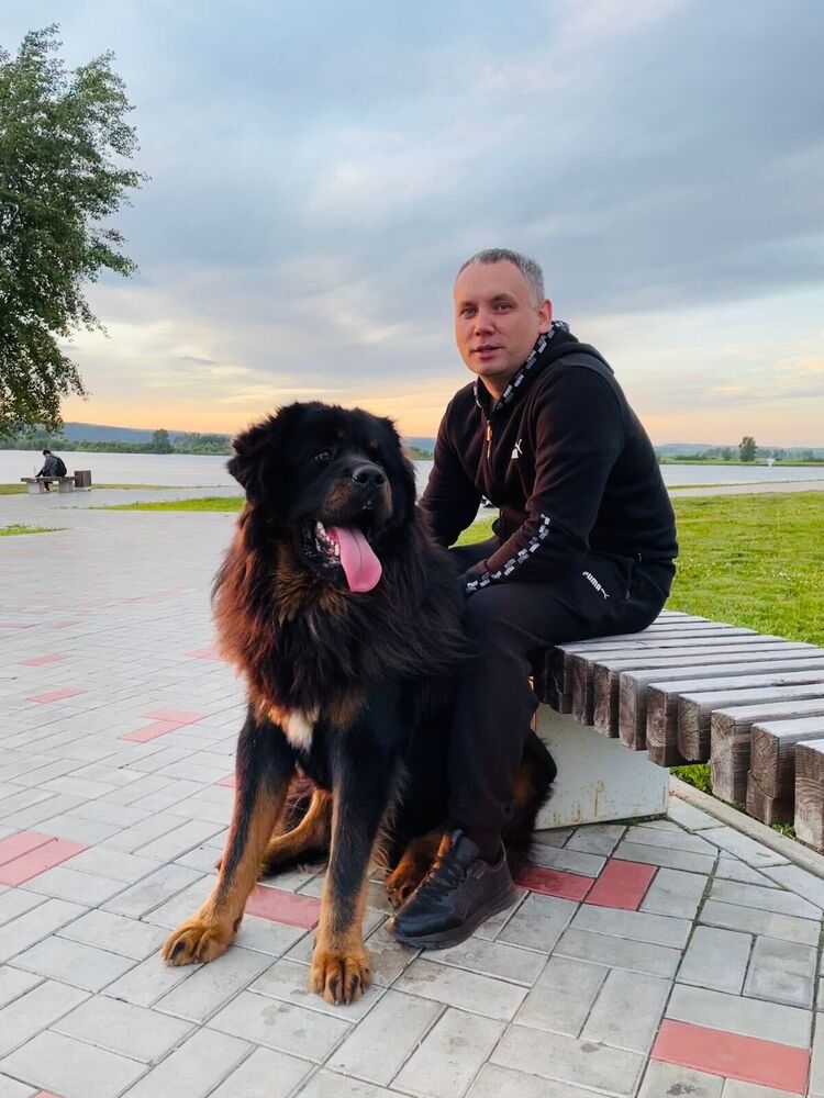 ���� 30043435 ������� ��������, 40 ���, ���� ���������� � �����������