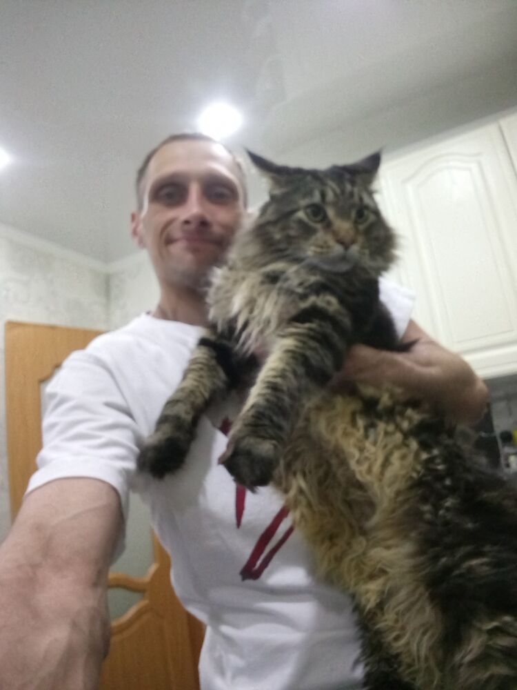 ���� 26342865 ������� ���������, 43 ����, ���� ���������� � �����