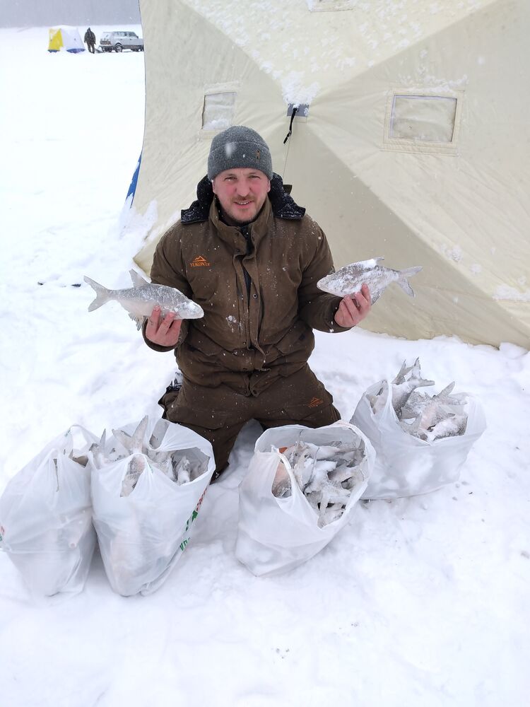 ���� 27953985 ������� ������, 44 ����, ���� ���������� � �����������