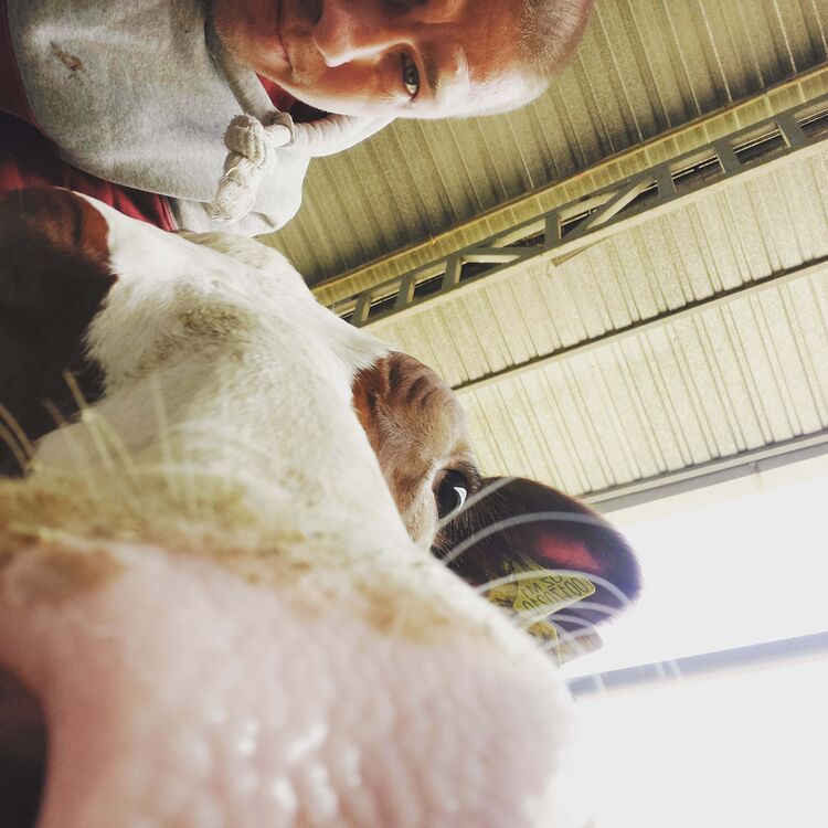 ���������� �������, ���� ������� Alex, 34 ����, ������������ ��� ������, ����� � ���������, c�������� ���������, ���������