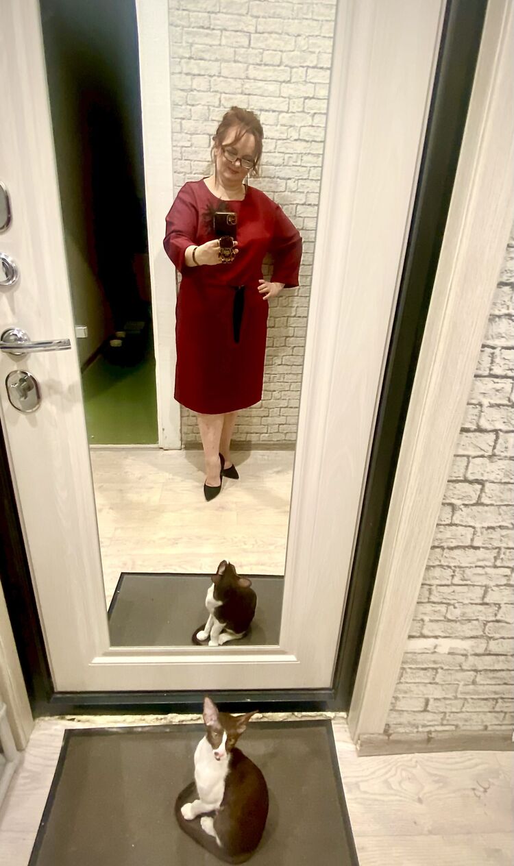 ���������� �����������, ���� ������� ��������, 48 ���, ������������ ��� ������, ����� � ���������, c�������� ���������