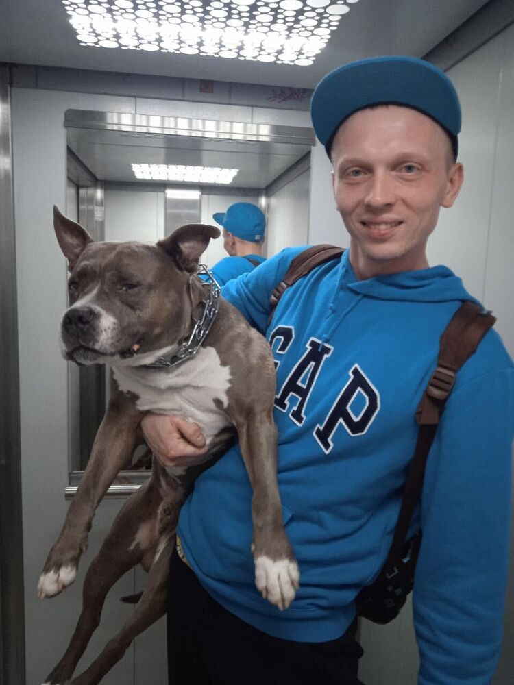 ���� 29638645 ������� �����, 35 ���, ���� ���������� � ������