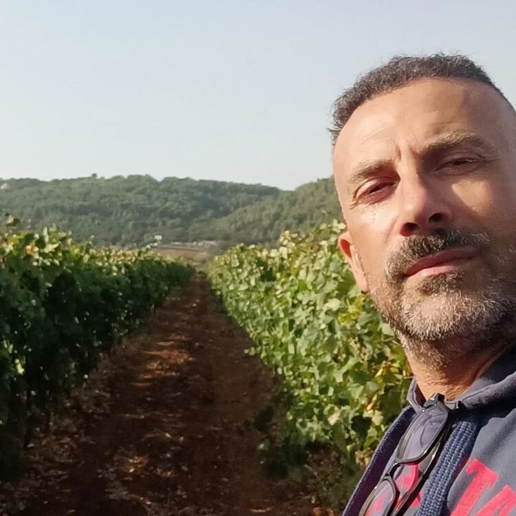 ���� 55846315 ������� ���������, 41 ���, ���� ���������� � ������