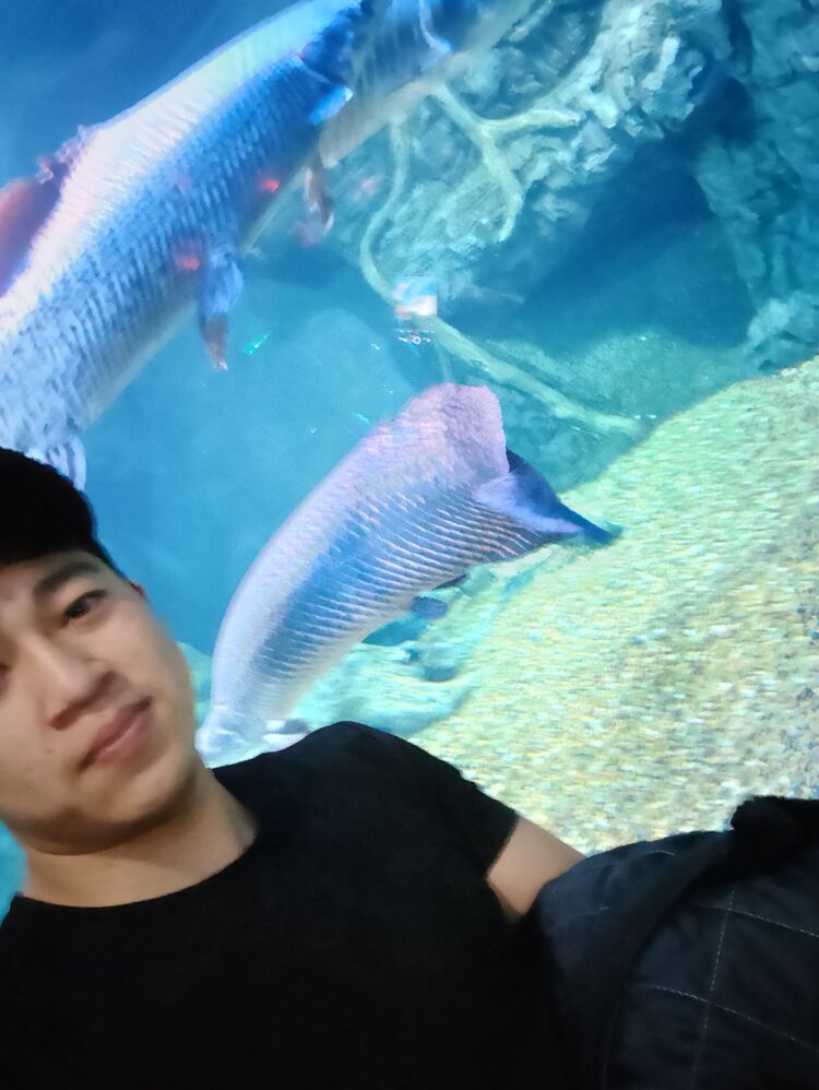 ���� 26804985 ����� ����, 25 ���, ���� ���������� � ������