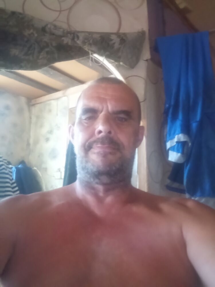  53288445  , 56 ,    