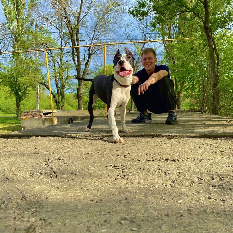 ���� 28828425 ������� ������, 27 ���, ���� ���������� � ������