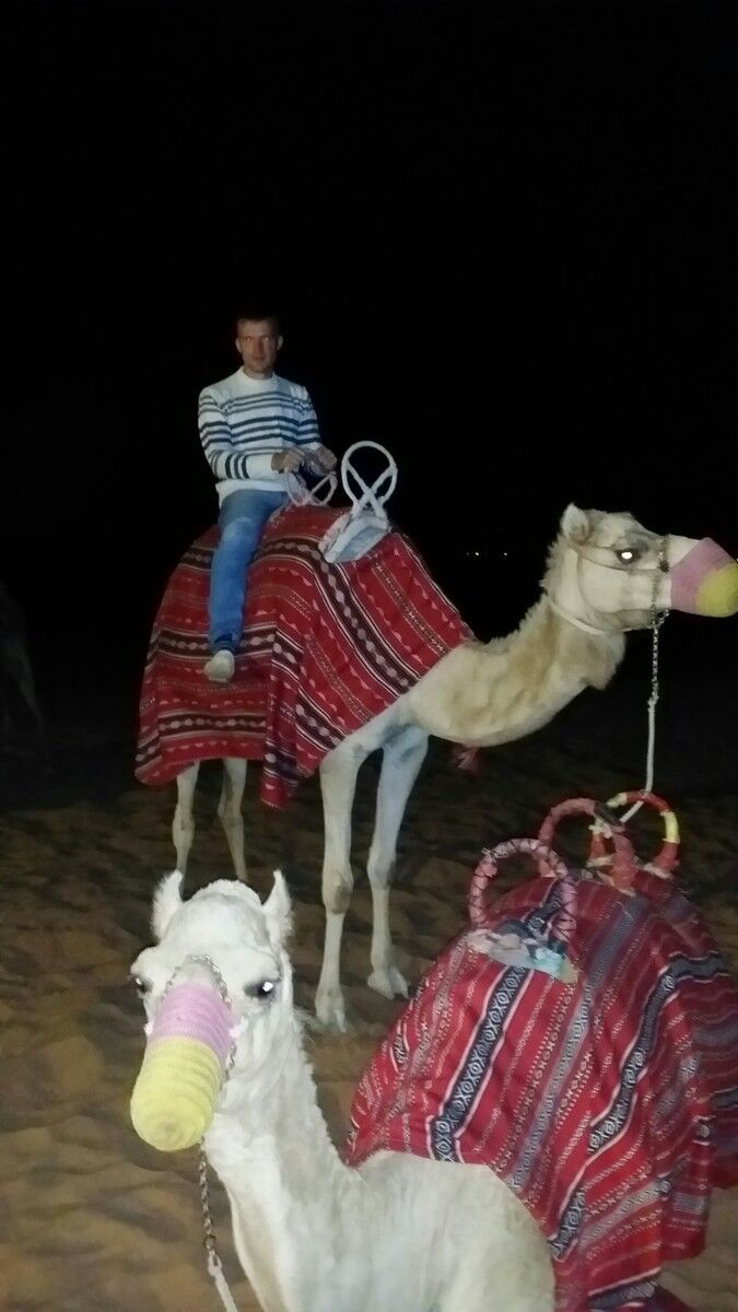 ���������� �����, ���� ������� �����, 43 ����, ������������ ��� ������, ����� � ���������, c�������� ���������