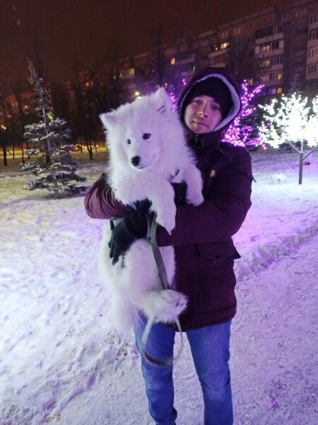 ���� 33750805 ������� ������, 34 ����, ���� ���������� � �������������