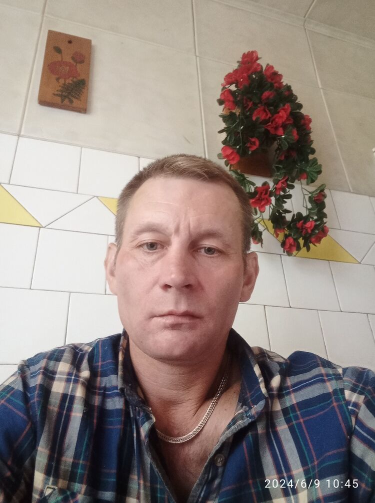  43769395  , 39 ,    -