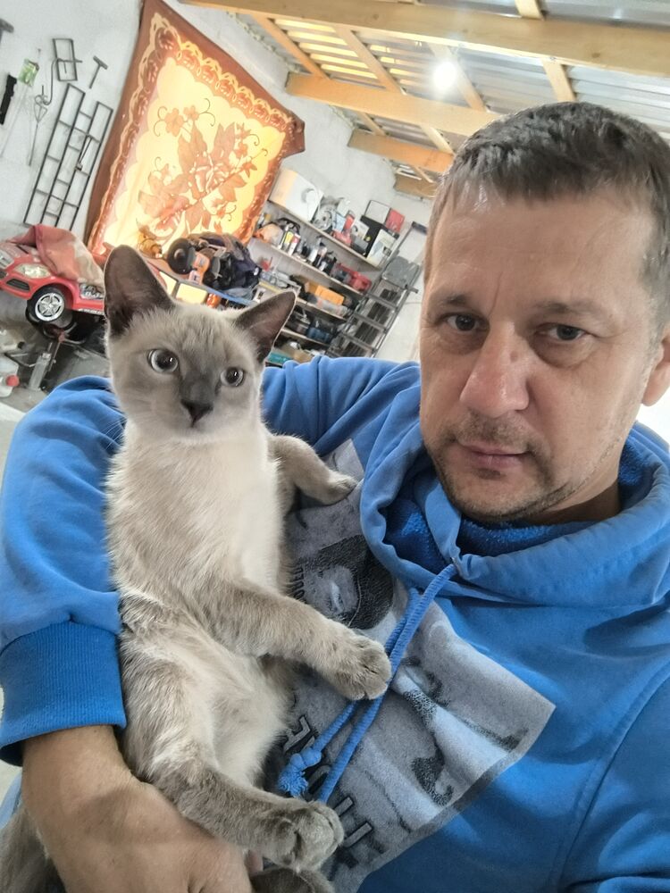 ���� 55951155 ������� ������, 47 ���, ���� ���������� � ���������