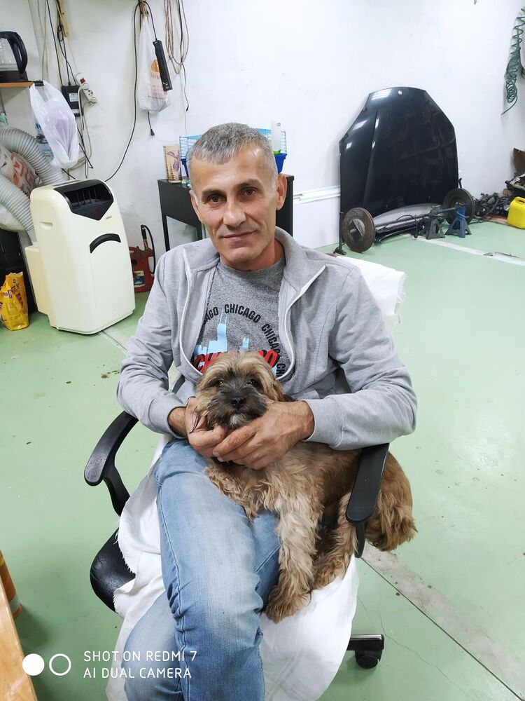 ���������� ������, ���� ������� �����, 50 ���, ������������ ��� ������, ����� � ���������, c�������� ���������, ���������