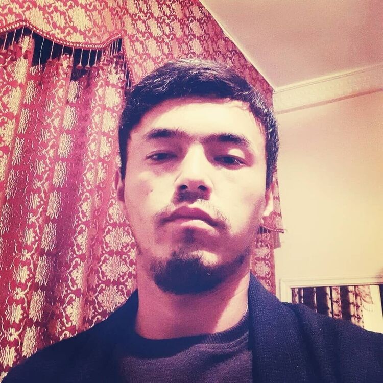  20841095  , 31 ,    