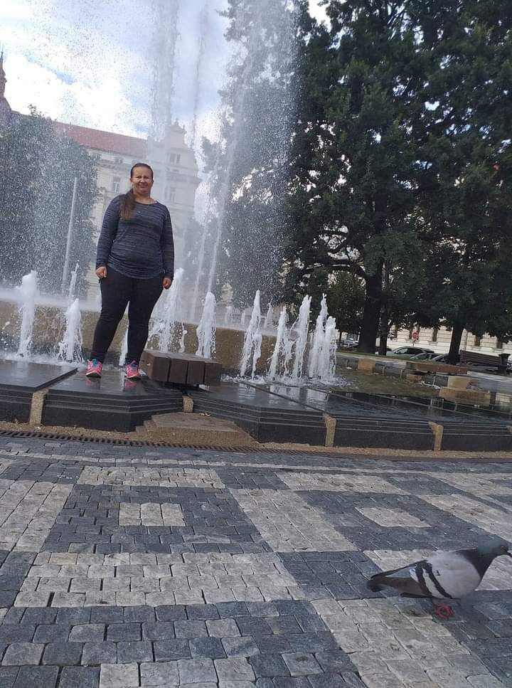  40711955  , 35 ,    