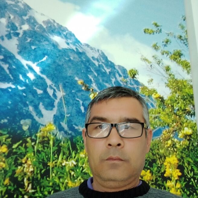 23799785  , 51 ,    -