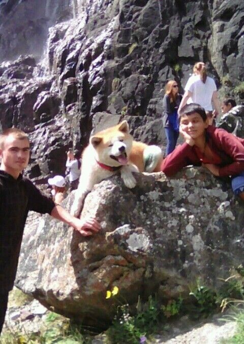 ���� 25690005 ������� ����, 26 ���, ���� ���������� � �����