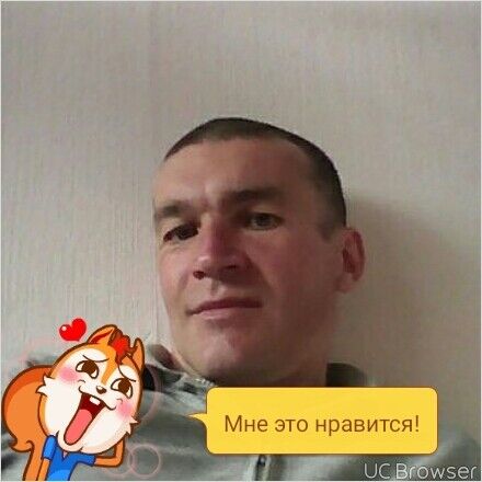  9593295  , 39 ,    