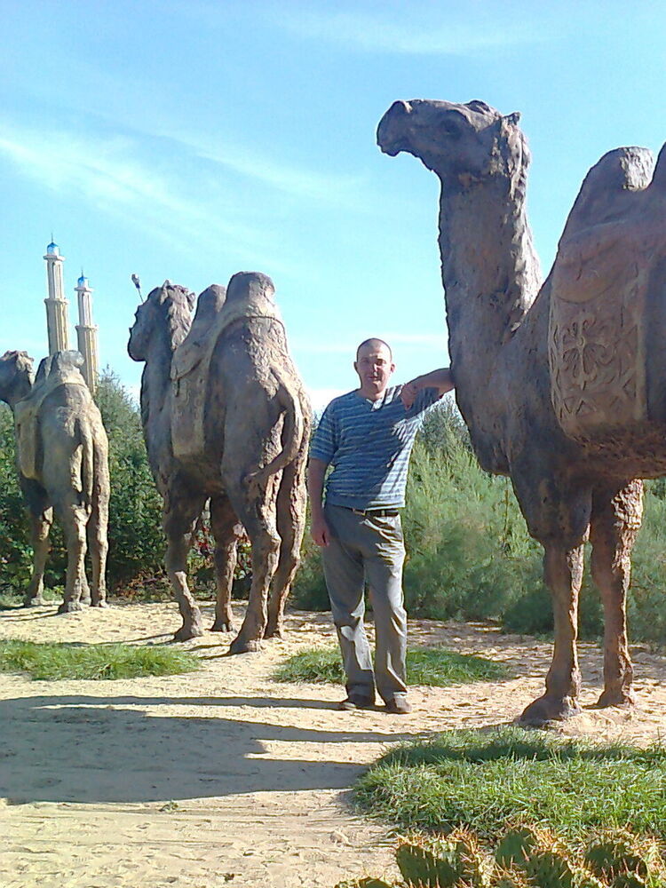  -,   Andrey, 43 ,   ,   , c 
