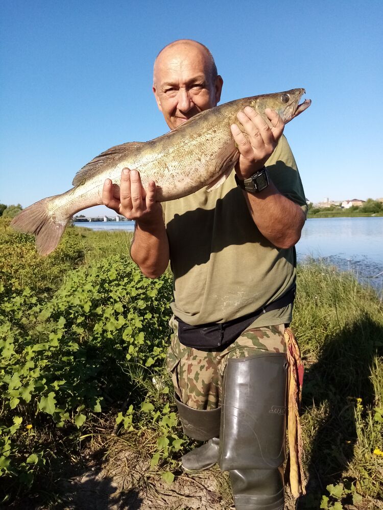 ���������� ���������, ���� ������� ������, 57 ���, ������������ ��� ����� � ���������, c�������� ���������