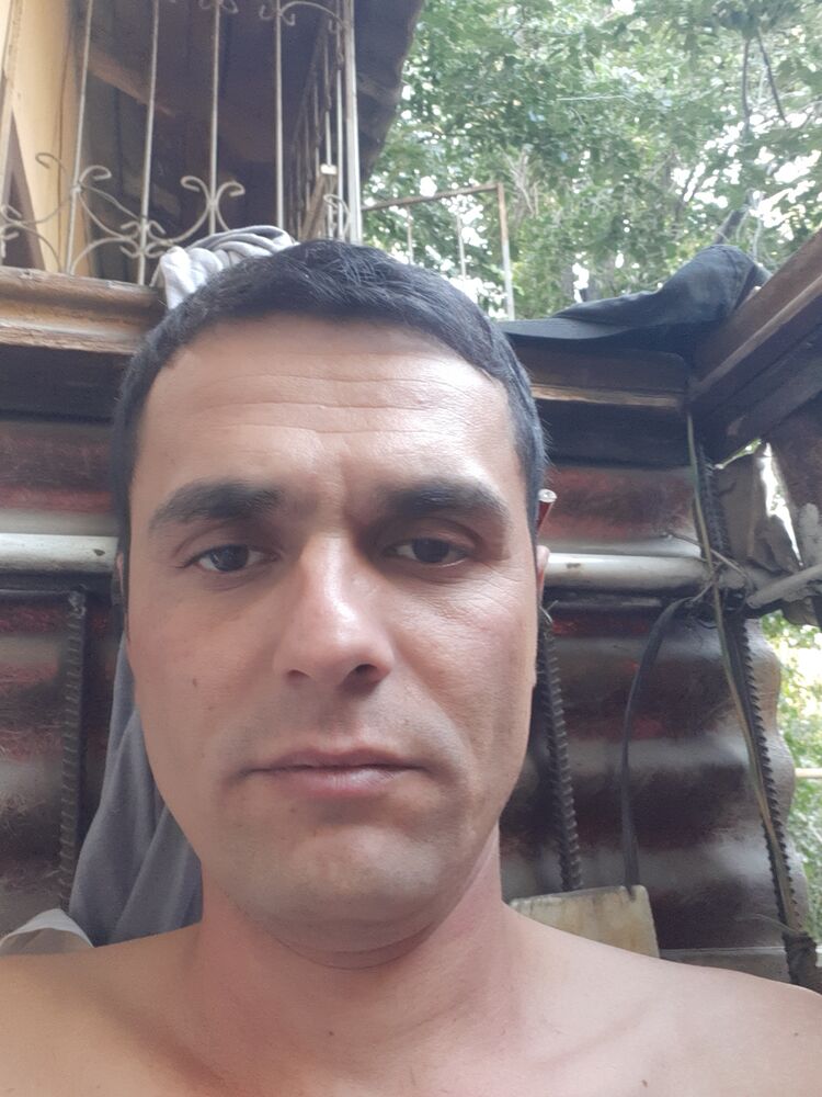  44664895  , 31 ,    