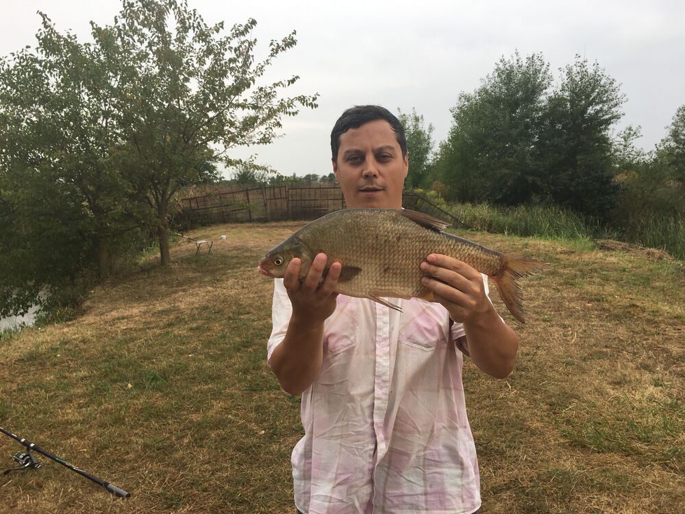  ,   Andrey, 41 ,   ,   