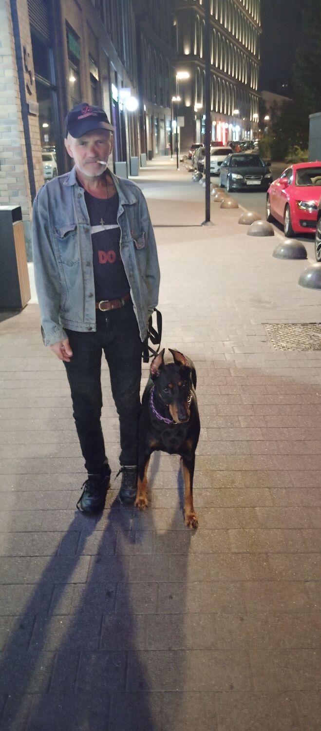 ���� 46075945 ������� ������, 54 ����, ���� ���������� � ������