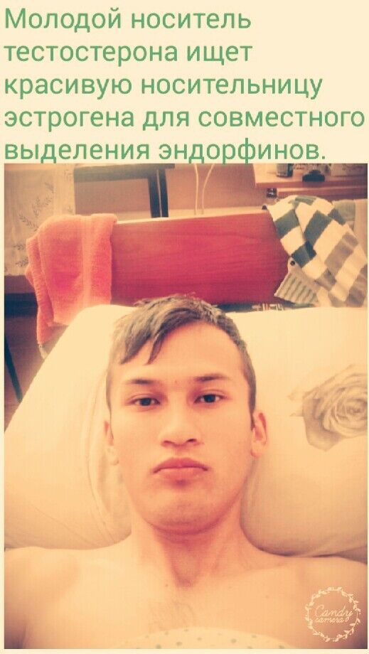 ���������� ������, ���� ������� Draco, 32 ����, ������������ ��� ������, ����� � ���������, c�������� ���������, ���������