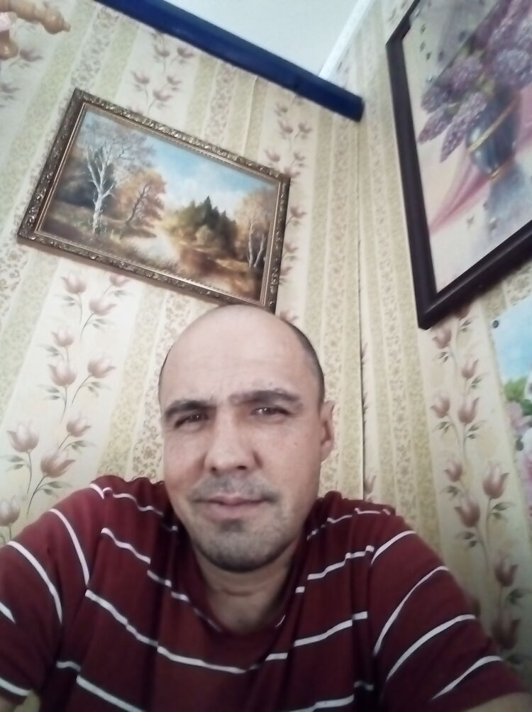  31993145  , 45 ,    