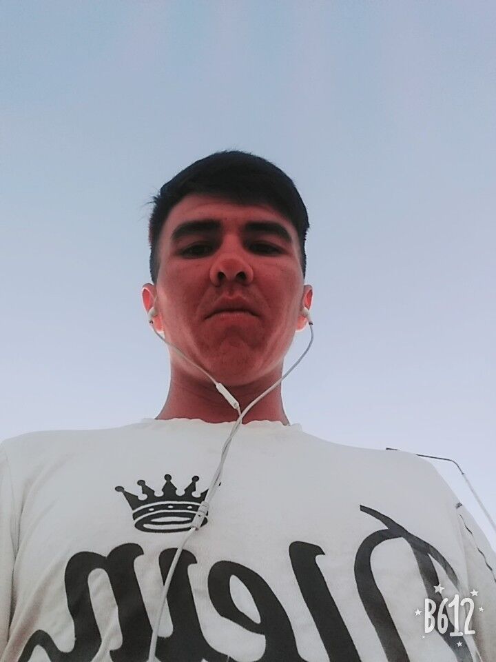  12541385  , 28 ,    