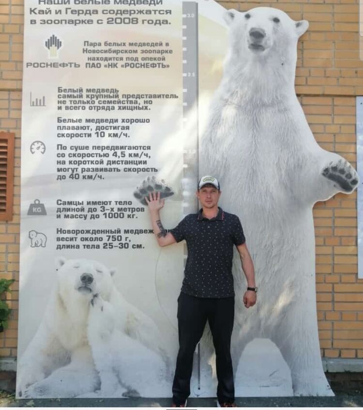 ���� 44662185 ������� ����, 41 ���, ���� ���������� � ������