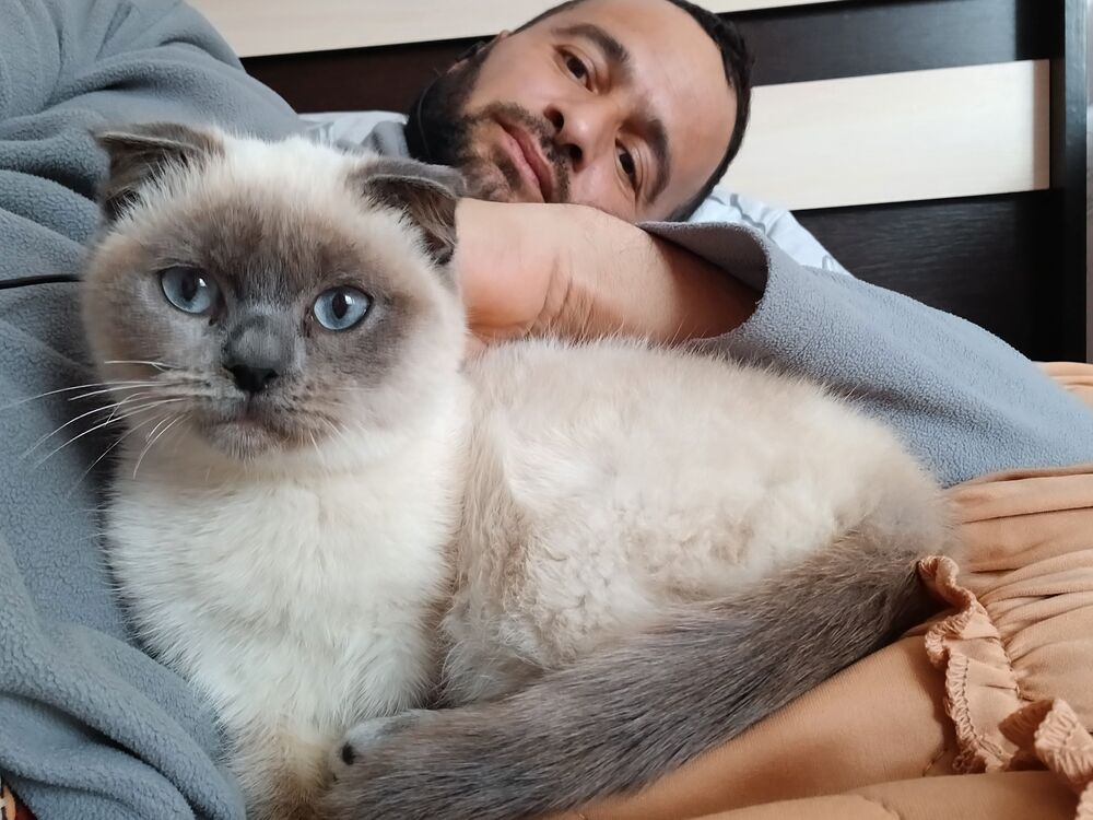  50388225  , 40 ,    --