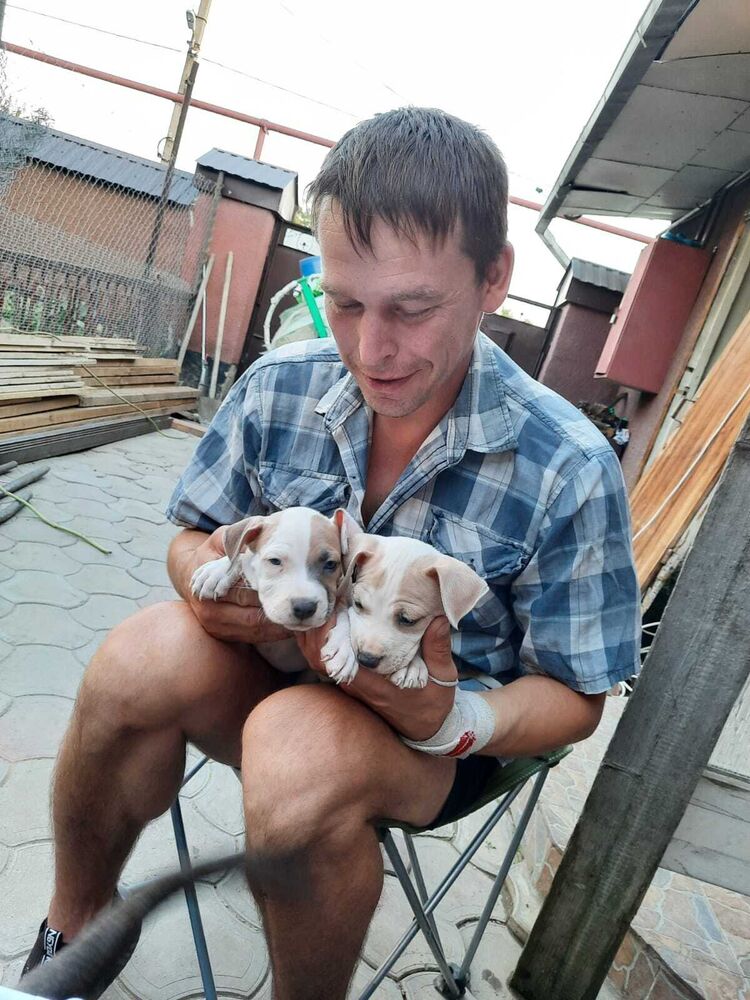 ���������� ����������, ���� ������� ���������, 40 ���, ������������ ��� c�������� ���������, ���������