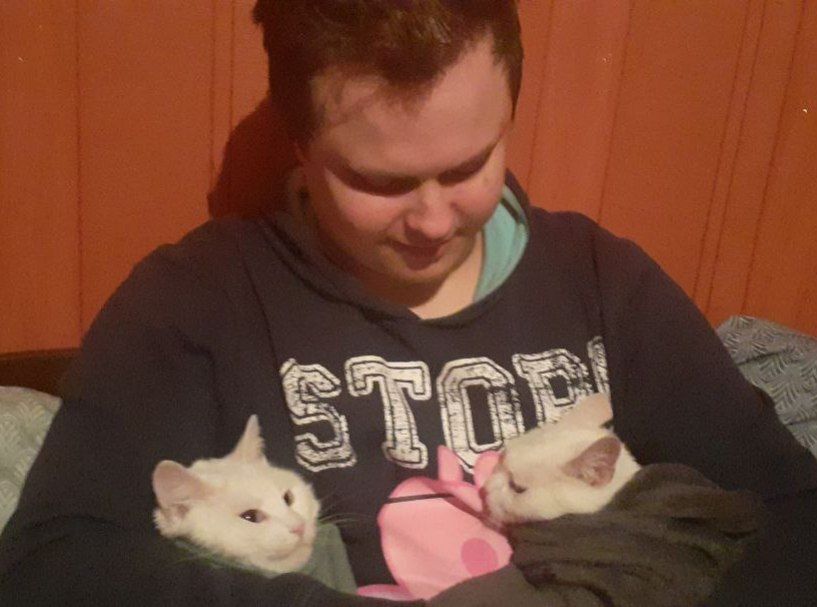 ���������� �������, ���� ������� �������, 35 ���, ������������ ��� ������