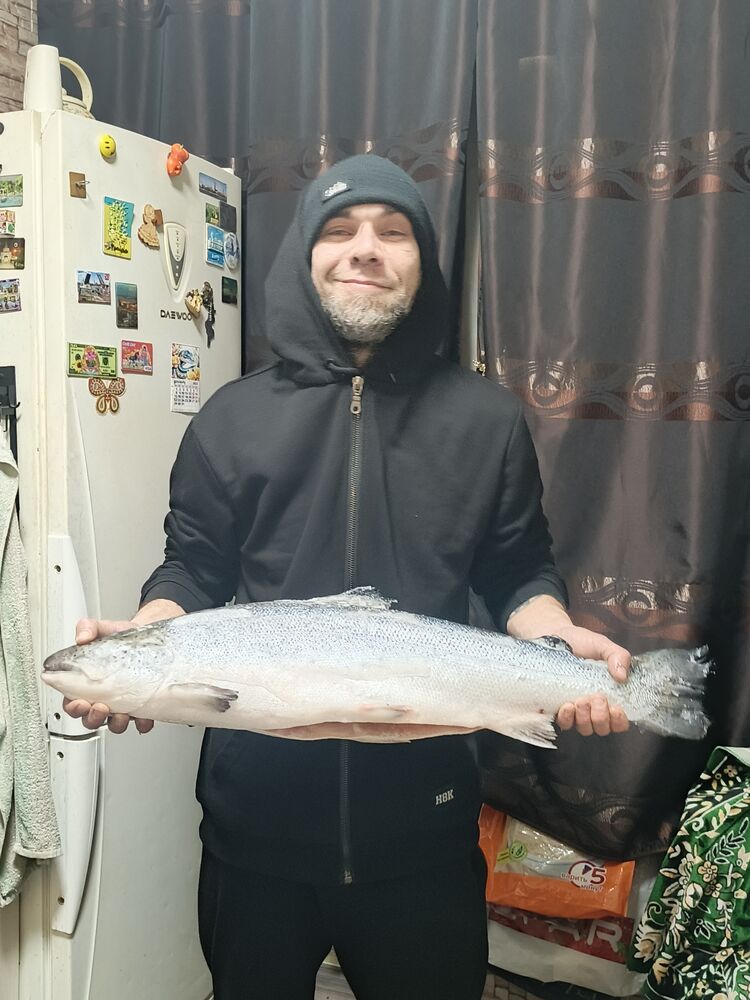 ���� 55535195 ������� ����, 34 ����, ���� ���������� � ������������