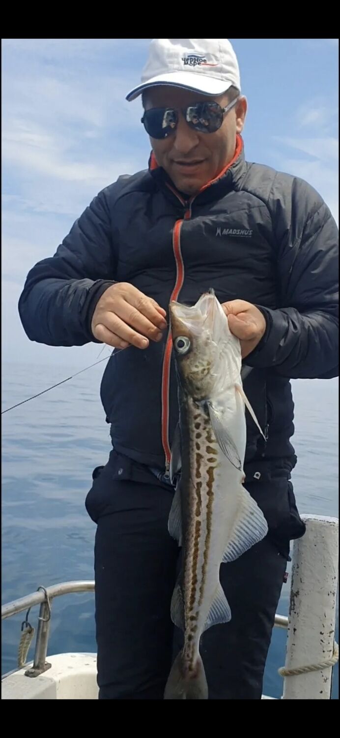 ���������� ����-���������, ���� ������� Hor, 39 ���, ������������ ��� c�������� ���������