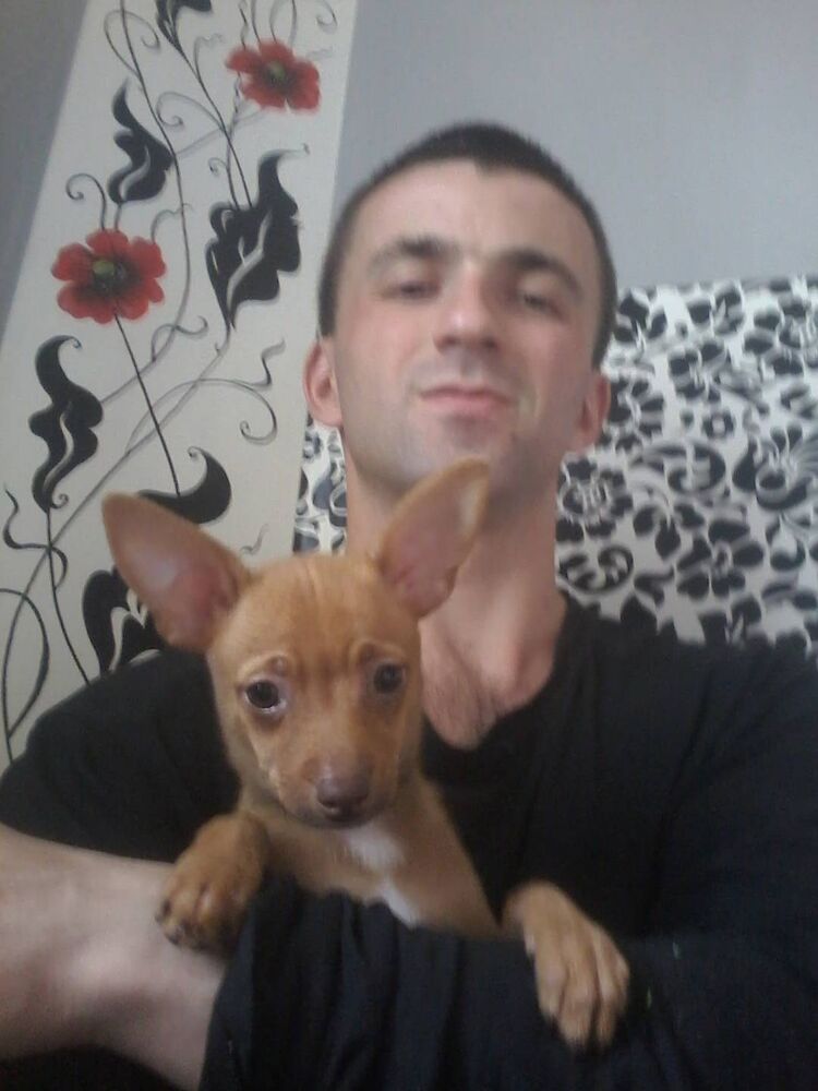 ���������� �����, ���� ������� ���������, 36 ���, ������������ ��� ������, ����� � ���������, c�������� ���������, ���������