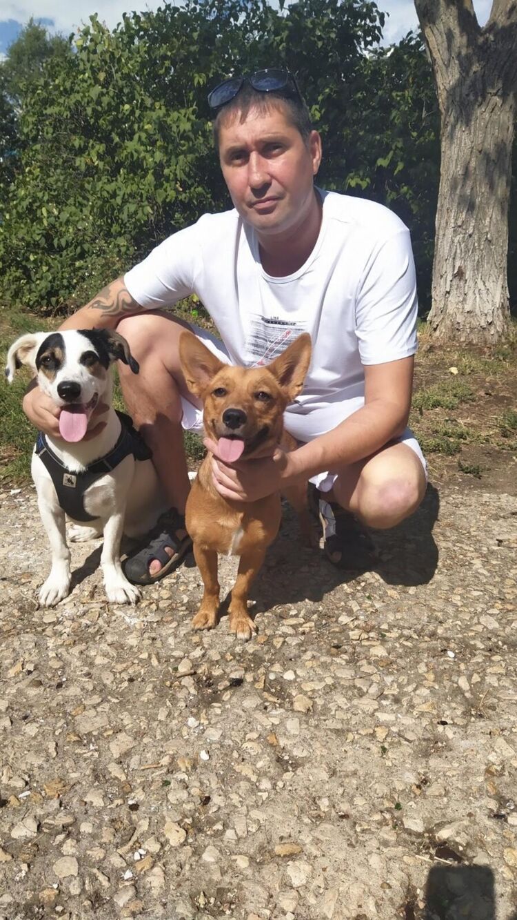 ���� 24352645 ������� �����, 45 ���, ���� ���������� � �����-����������