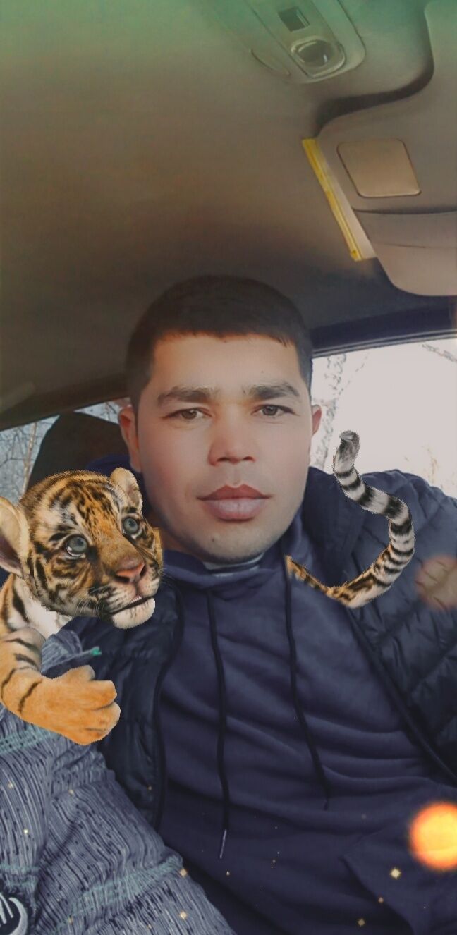 ���������� ���������, ���� ������� ����, 33 ����, ������������ ��� ������, ����� � ���������, c�������� ���������, ���������