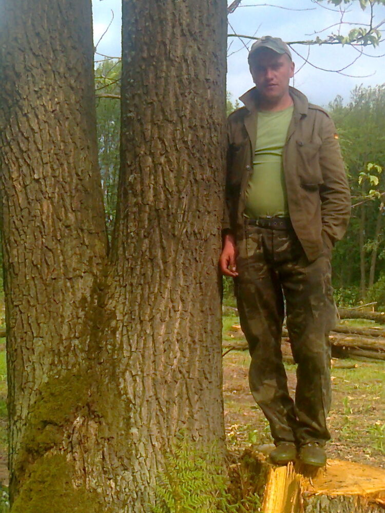  -,   , 36 ,   