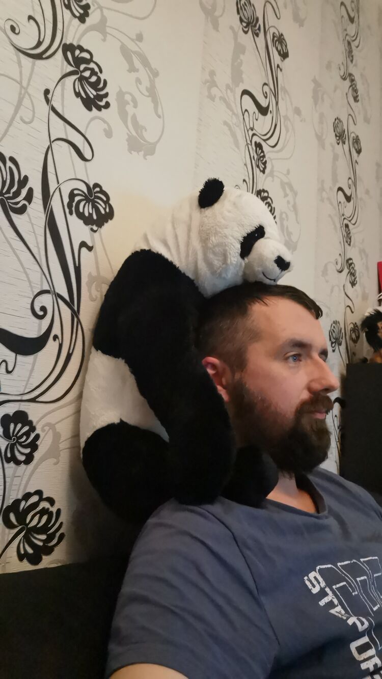 ���������� ����, ���� ������� ������, 36 ���, ������������ ��� ������, ����� � ���������, c�������� ���������, ���������