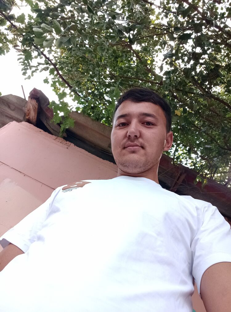  45776995  , 29 ,    